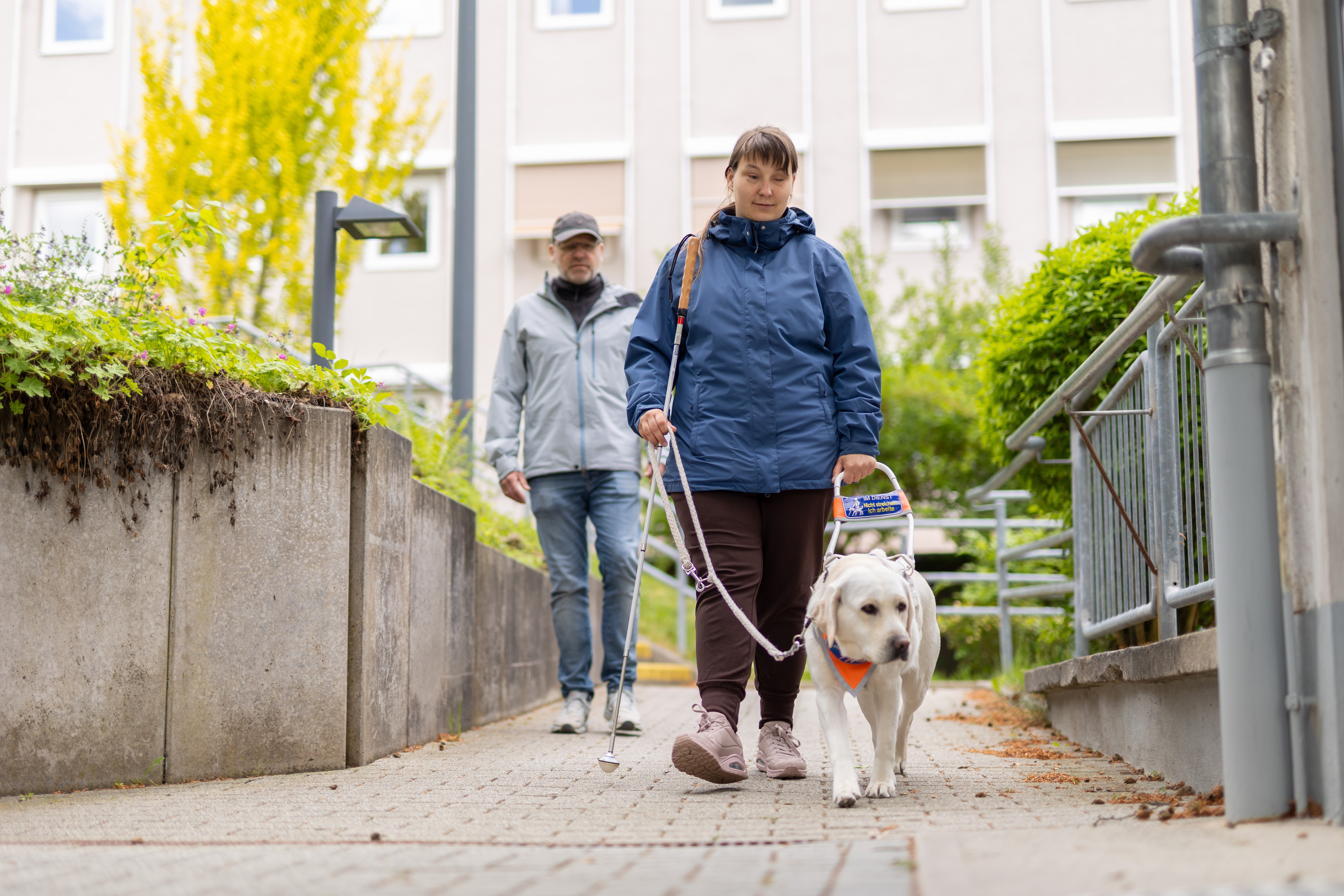 Eine Frau mit einem Führhund und einem Langstock geht unter den Augen eines O&M Lehrers einen Weg entlang.